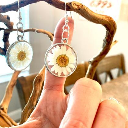 Pressed Daisy Flowers Earrings, Resin Flower..