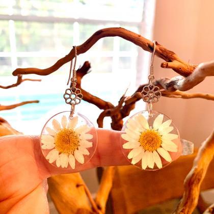 Resin Pressed Daisy Flower Earrings,real Flower..