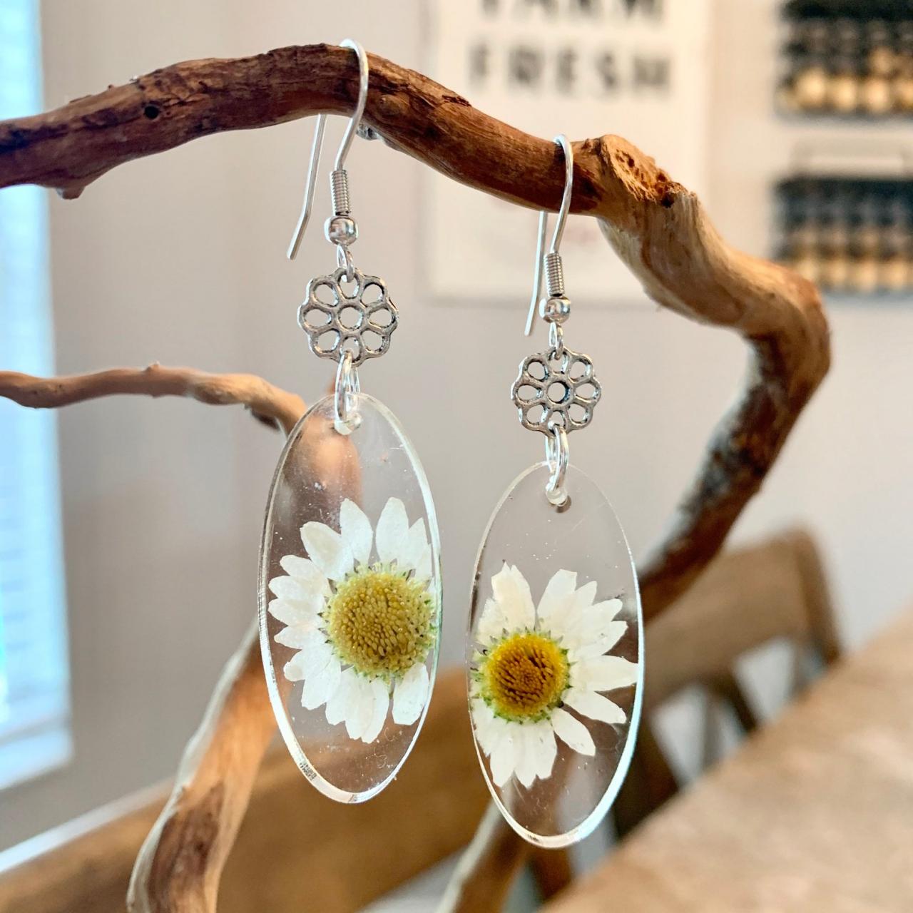 Real Dried Flower Earrings, Resin Pressed Daisy Oval Earrings,resin Jewelry,minimalist,jewelry For Women, Nature,graduation Gift,summer