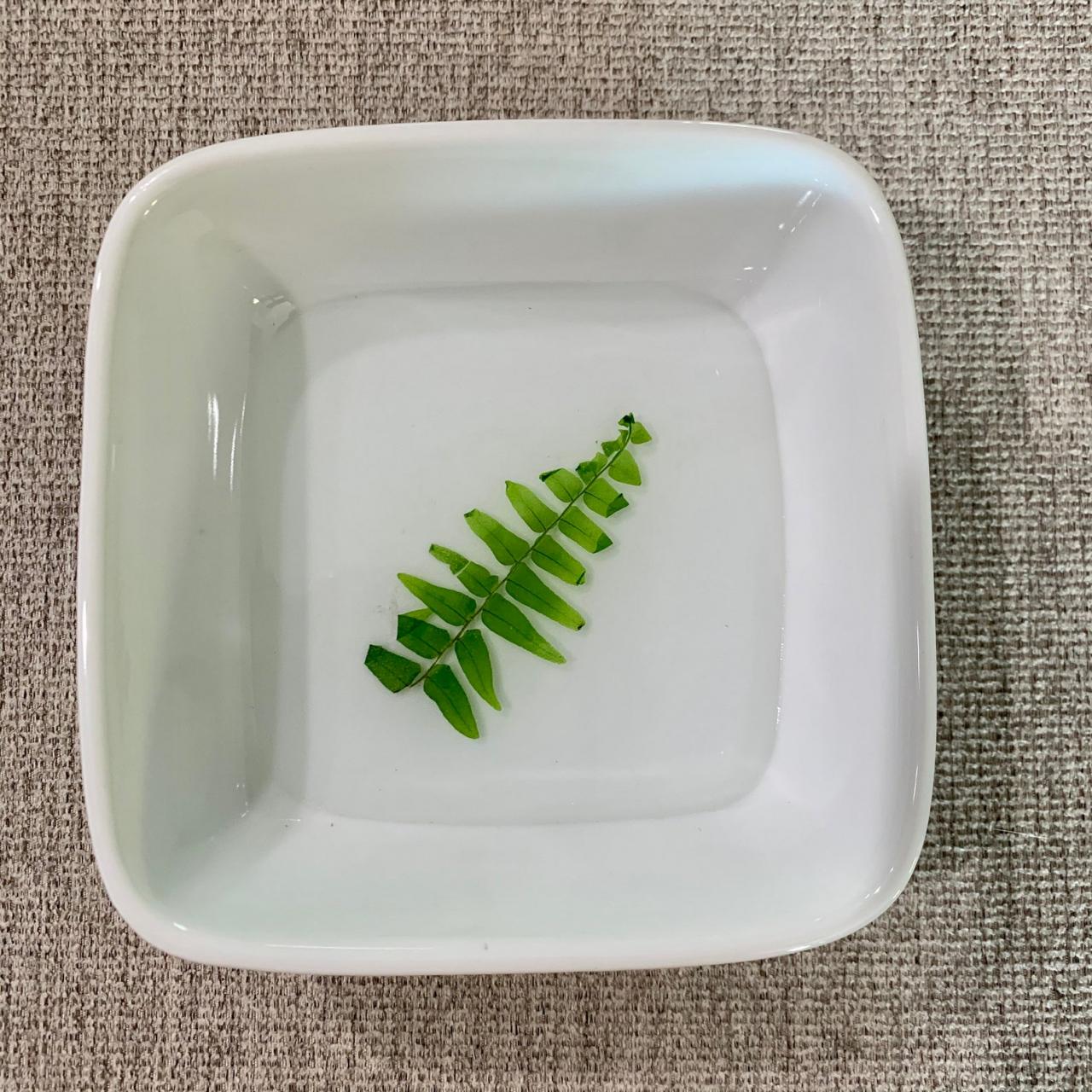 Pressed Fern trinket bowl/tray,botanical,fern ring dish, gift for special occasion,home warming gift,home decor,resin art,small bowl,gift